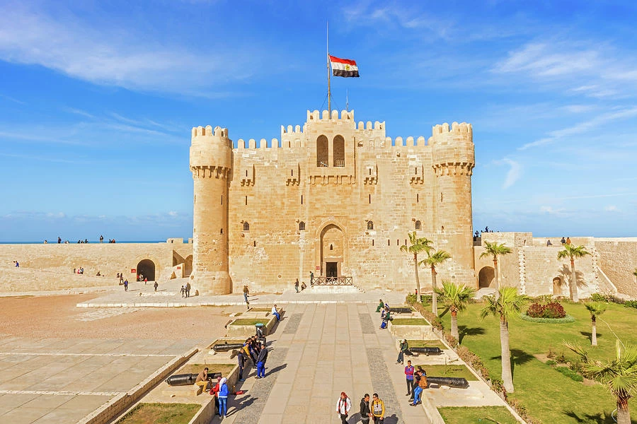 Alexandria Day Tours